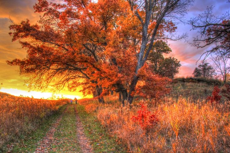 Cross Plains, Wisconsin Homes for Sale & Real Estate